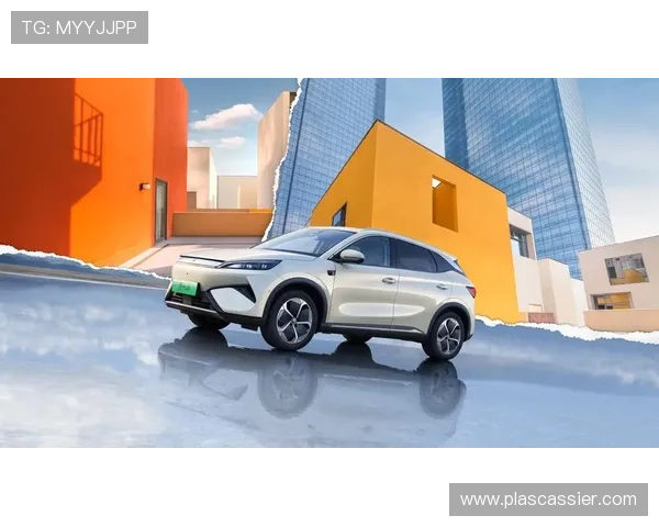 天生赢家凯发一触即发：开启属于你的辉煌人生新篇章